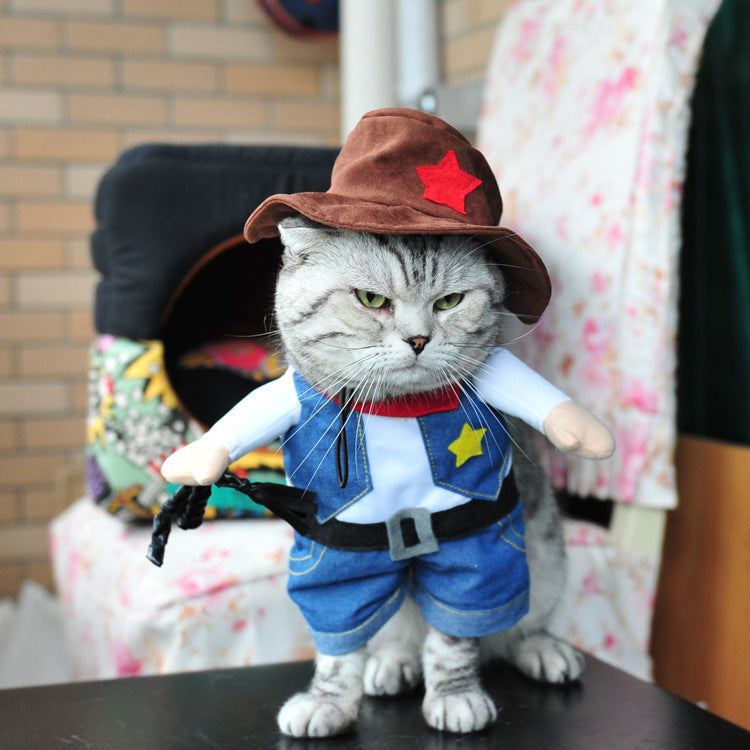 Pet costume cowboy