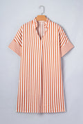 Stripe Pleated Frilled V-Neck Mini Dress